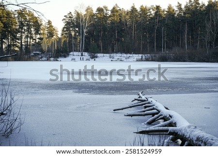 Foto Bild Von hohen Bäumen umgebener Teich