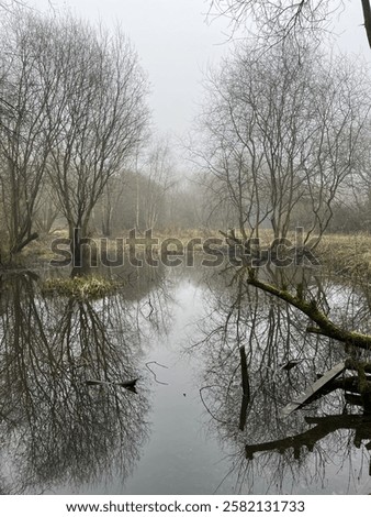 Similar – Image, Stock Photo Fallen tree in pond, forest, winter