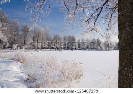 Winter frame of Swedish lake