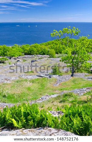 Vertical landscape of Swedish sea coast in spring season