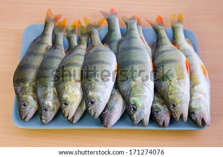 Fresh perch fishes on a kitchen board