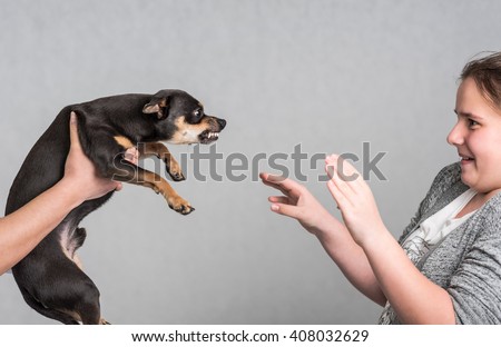 Similar – Image, Stock Photo play instinct