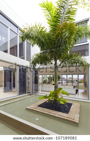 Palm tree and fountain inside luxury home