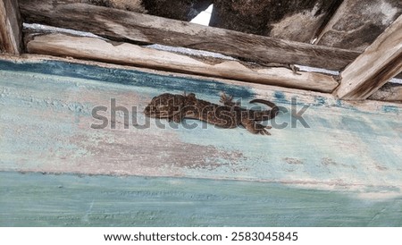 Similar – Image, Stock Photo The round is stuck in the square