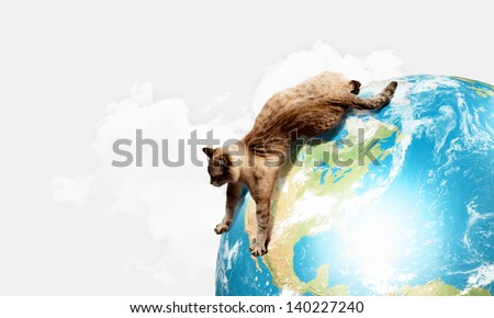 Image of siamese cat playing with globe. Elements of this image are furnished by NASA