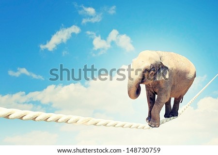 Image of elephant walking on rope high in sky
