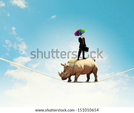 Image of rhino walking on rope high in sky