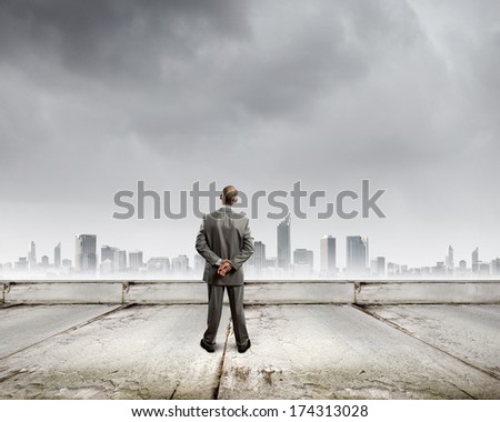 Back view of confident businessman looking at city