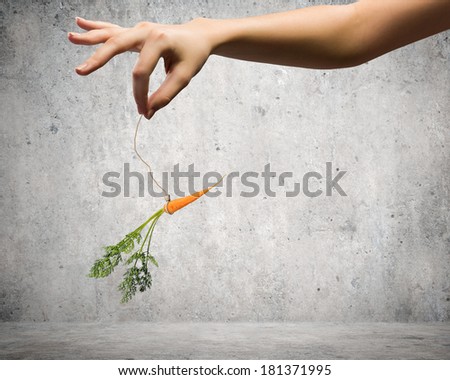 Close up of hand holding stick with carrot dangling on rope