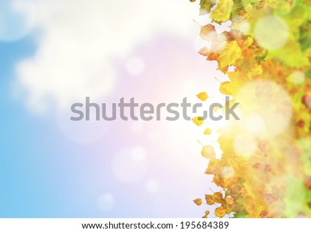Conceptual image with colorful leaves on white background. Place for text