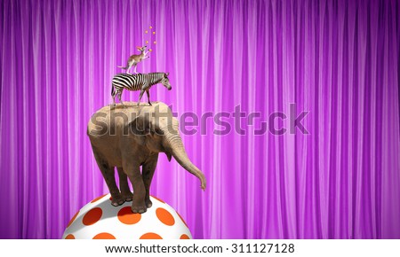 Circus animals standing in stack and balancing on ball