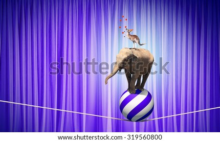 Circus animals standing in stack and balancing on rope