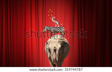 Circus animals standing in stack and balancing on ball