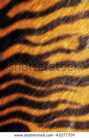 tiger texture