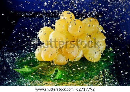 Bunch of white grapes with green leaves and stopped motion water drops