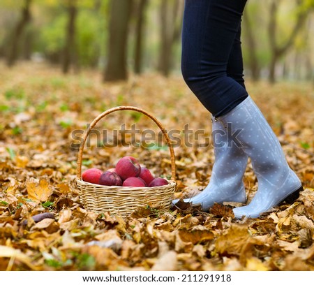 Autumn country - woman wearing polka dots rain boots with wicker basket harvesting apple