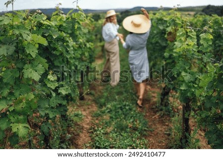 Similar – Image, Stock Photo Vineyard on a cloudy day