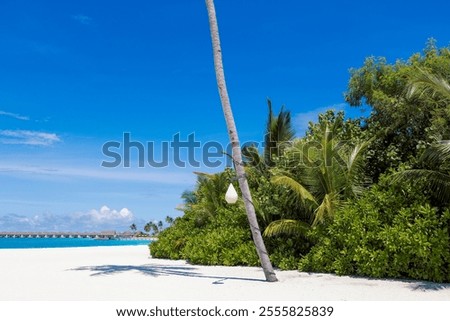 Similar – Image, Stock Photo deserted sandy beach with surveillance tower