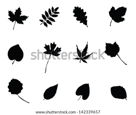 Set Of Silhouettes Of Foliage 2-Vector - 142339657 : Shutterstock