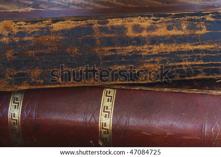 The spines of two old books