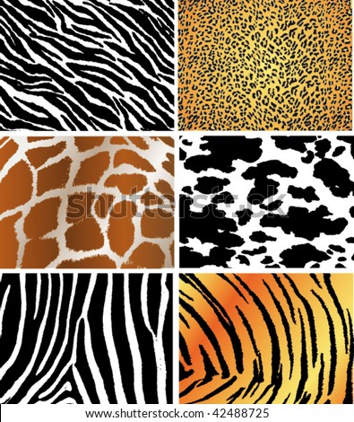 Seamless Animal Pattern Skin Fur Vector Pack - 42488725 : Shutterstock