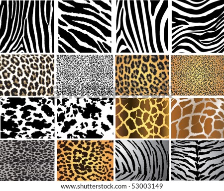 Highly detailed animal skin vector pack - 16 different pattern