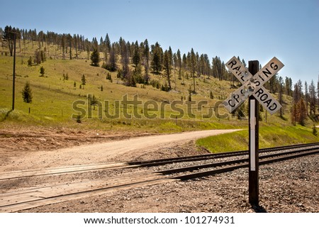 A pockmarked sign marks a railroad crossing on a gravel road in the western mountains of the United States.  The result of a pine beetle infestation is seen by the dead pine trees in the background