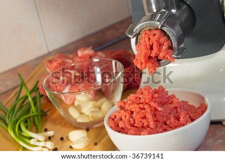 Meat grinder and mincemeat