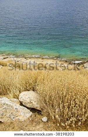 Seashore with rocks and bushes. Beautiful azure water contrasts with yellow bushes and rocks.