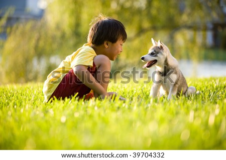 Similar – Image, Stock Photo Boy with puppy sitting next to concrete wall