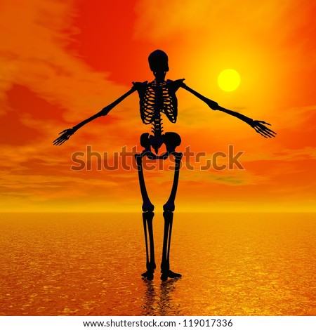 Shadow Of A Skeleton Standing On The Water And Facing The Sun By Red ...