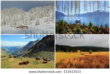 Four seasons landscape collage : spring, summer, autumn, winter