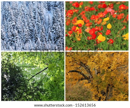 Four seasons collage : spring, summer, autumn, winter