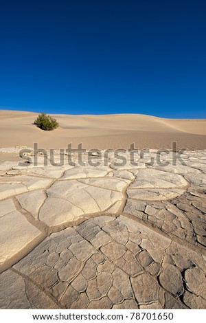 Eleven Meters below sea level on the Death Valley Sand Dunes Desert Floor, Death Valley National Park, California, USA