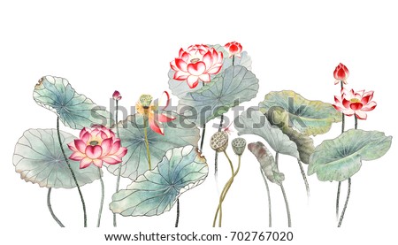 Chinese-style drawings, sketches, Lotus,Water Lily