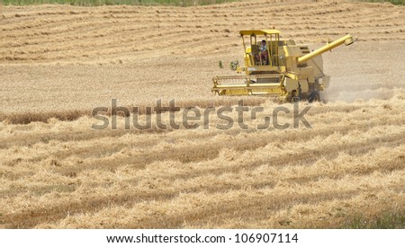 A combine harvester working in a wheat field