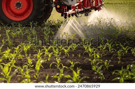 Similar – Image, Stock Photo Farmer on a tractor digs out potatoes from soil. Extract root vegetables to surface. Harvesting potatoes in autumn. Farming and farmland. Agricultural work in the field. Countryside.