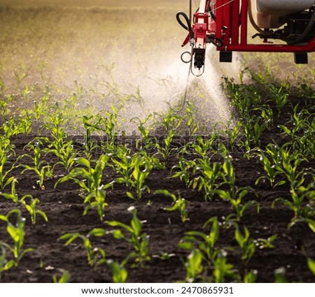 Similar – Image, Stock Photo Farmer on a tractor digs out potatoes from soil. Extract root vegetables to surface. Harvesting potatoes in autumn. Farming and farmland. Agricultural work in the field. Countryside.