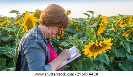 Agricultural expert inspecting quality of sunflower
