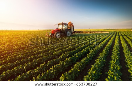 Tractor spraying pesticides on soybean field  with sprayer at spring Imagine de stoc © 