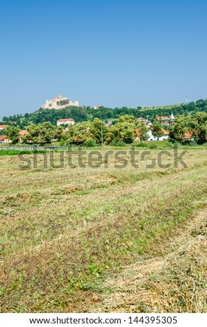 Beautiful green view into a Transylvanian village,Rotbav, close to Brasov, with it\'s fortified church in the background
