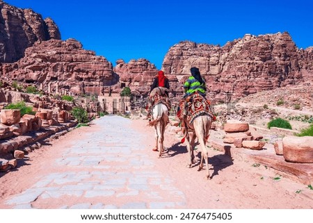 Similar – Foto Bild Beduine sitzen auf dem Gipfel eines hohen Felsens in Ägypten