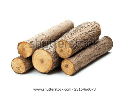 Similar – Image, Stock Photo Wood pile with sawed tree trunks after forestry work in Oerlinghausen near Bielefeld in the Teutoburg Forest in East Westphalia-Lippe