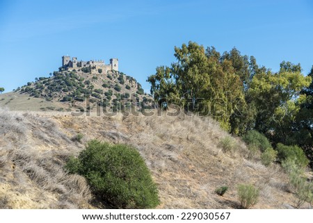 Almodovar del Rio Castle, arab fortress built in 740 on an old building in early times near Cordoba, Andalusia, Spain.