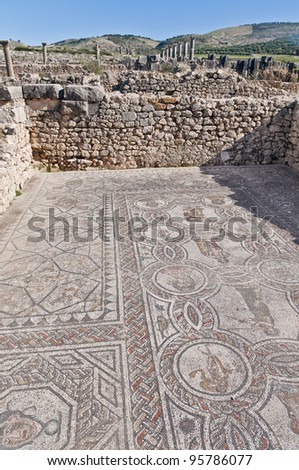 Roman detailed mosaics on Dyonysus and the Four Seasons house at Volubilis, Morocco