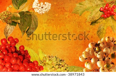 vintage styled frame - autumn berries, background for your text