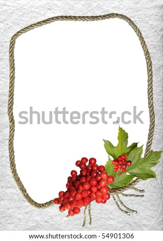 decorative frame with red berries - background for your text or picture