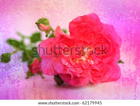 rose - vintage stylized floral picture with patina texture
