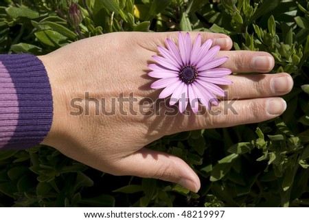 Hand holding a flower like a ring