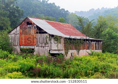 An old dilapidated barn stands among overgrown weeds on a foggy Eastern Kentucky morning.
